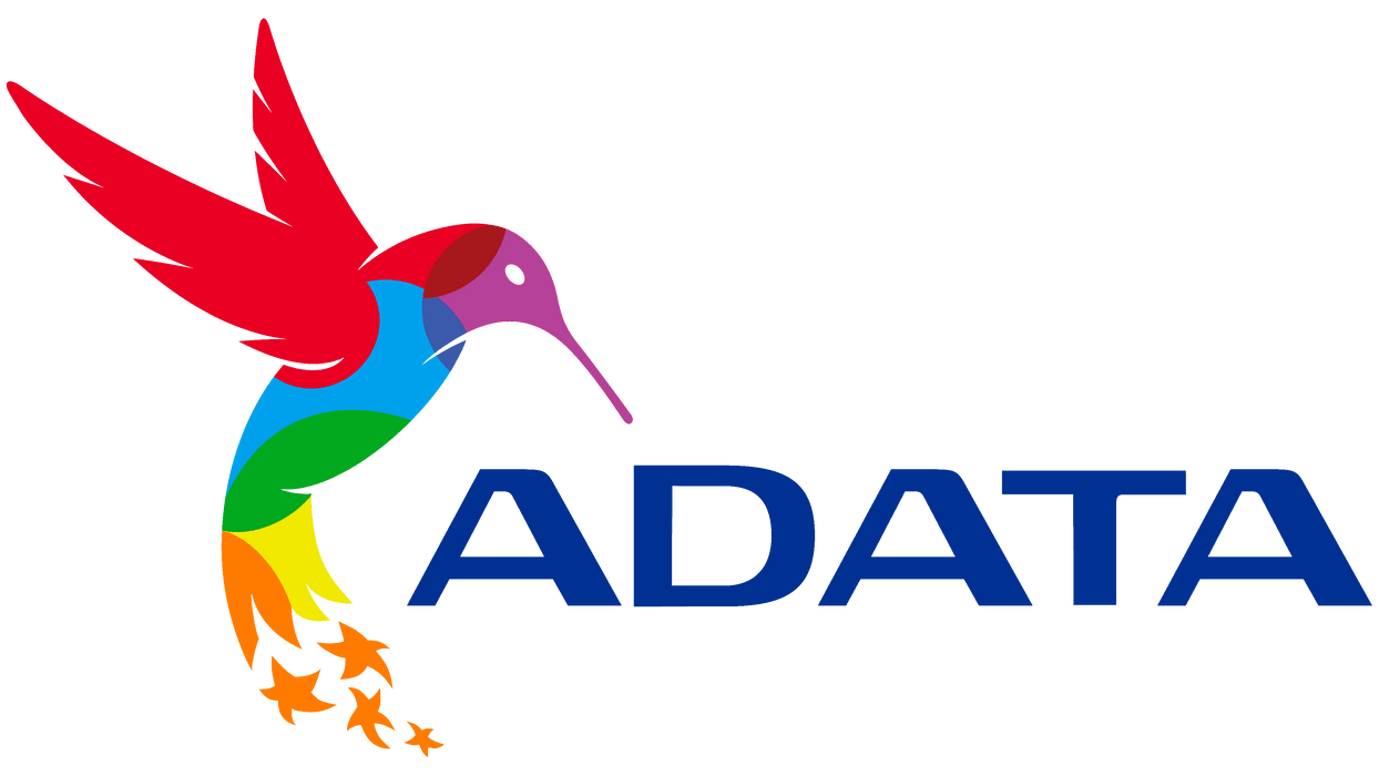 ADATA - ASX8100NP-2TT-C ADATA XPG SX8100 2TB SSD PCIE M.2 2280 — Tech  Network Supply LLC